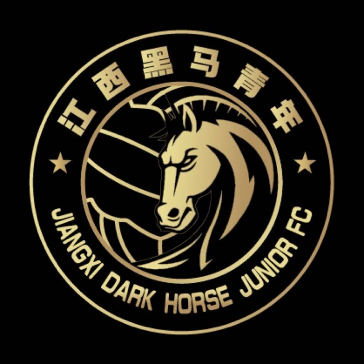  官方：江西黑馬青年完成異地遷移程序，更名為溫州職業(yè)足球俱樂(lè)部